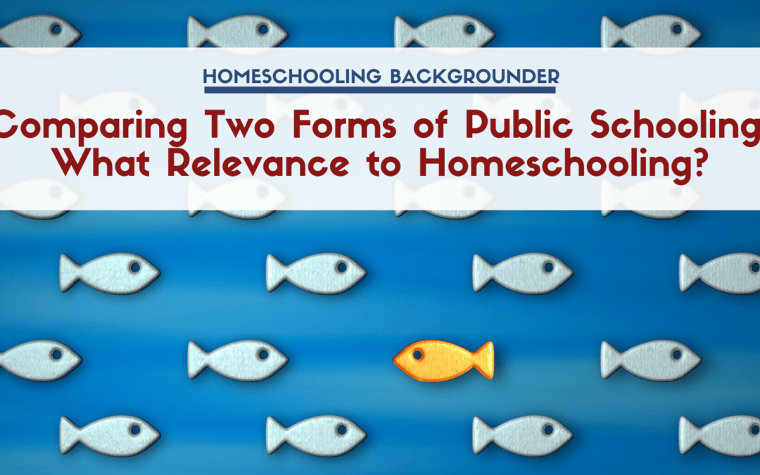 Comparing Two Forms of Public Schooling: What Relevance to Homeschooling?